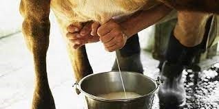      दूध किसानका समस्या समाधान गर्न पालिकासँग माग   