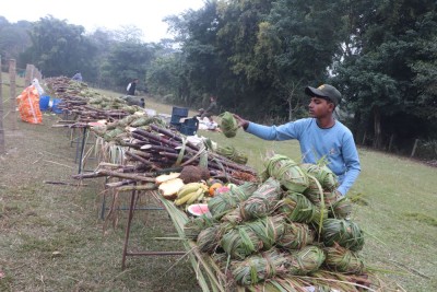 हात्ती पूजा गरी वनभोज खुवाइयो    
