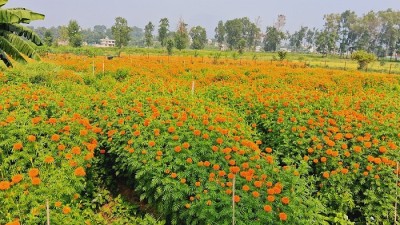 फूल बेच्न भ्याइनभ्याई