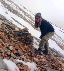 हिउँचितुवा गणना गर्न ५६ स्थानमा क्यामेरा राखियो   