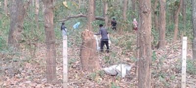 पतझरमा किसानलाई पतिंगर सोहोर्ने चटारो    