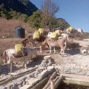 पर्यटकको आकर्षक गन्तव्य बन्दै खाँचीकोट हिल स्टेसन        