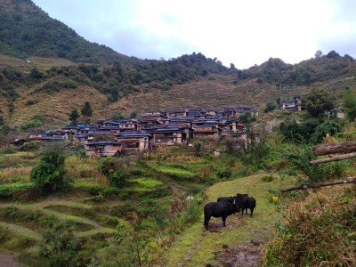 गाउँमा सडक पुग्यो, मासिए सम्पदा       