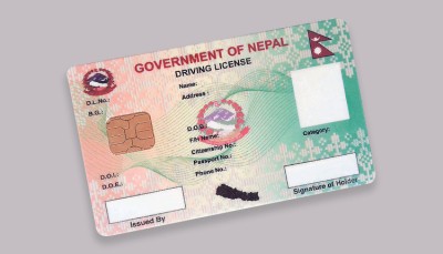 सवारी चालक अनुमतिपत्र छपाइ तीव्र गतिमा     