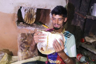 पूजा गर्ने खोप्पाको मौरी घार आम्दानीको स्रोत        