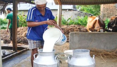 दुग्ध उत्पादक किसानले ५५ करोड भूक्तानी पाएनन्    