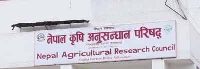 नार्कका सम्पर्कविहीन दुई कर्मचारी बर्खास्त    