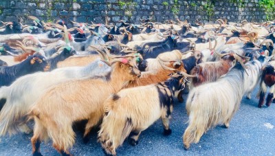 लेकका च्याङ्ग्रा सहरमा   