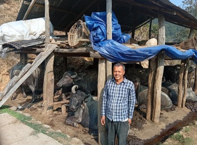 दुई पाडीबाट आचार्यले थालेको भैँसीपालन व्यावसायिकतातर्फ   