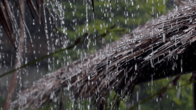 हिउँदे बर्सातले किसानमा खुसी    