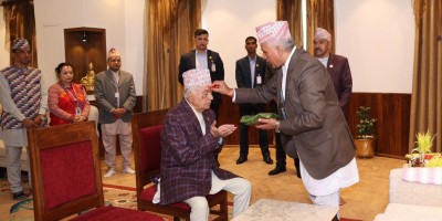 राष्ट्रपतिबाट बडादसैँको टीका ग्रहण   