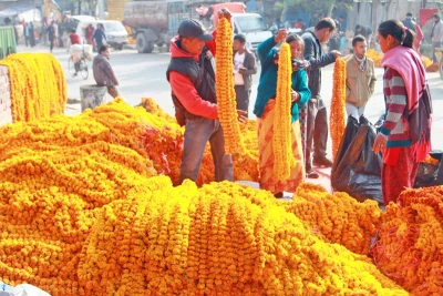 तिहारमा काठमाण्डू महानगरभित्र विदेशी फूल प्रतिबन्धित    