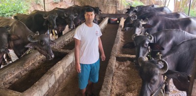 वैदेशिक रोजगार त्यागेका युवालाई पशुपालनबाट सफलता   
