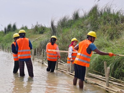 नदी कटान रोक्न जैविक तटबन्ध    