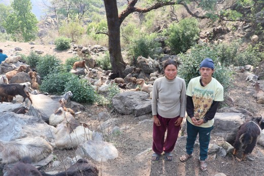 घुम्तीगोठमा बाख्रा पालेर स्वरोजगार र आत्मनिर्भर   