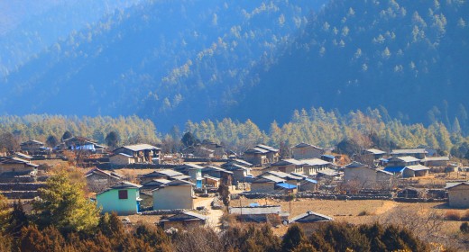 ढोरपाटनमा पहिलोपटक पुग्यो केन्द्रीय लाइन   