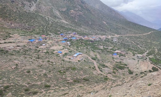 बाली सुक्न थालेपछि हुम्लाका किसान चिन्तित