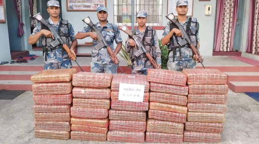 पर्साबाट दुई सय तेह्र किलो गाँजा बरामद    