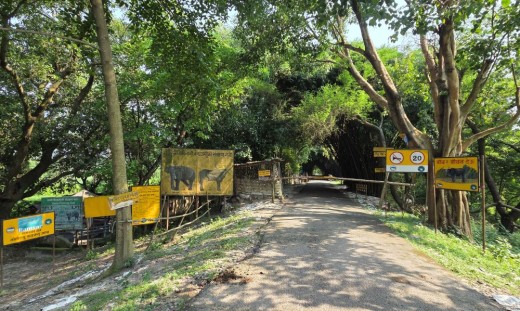 कोशी टप्पुमा पर्यटनको बढ्दो सम्भावना        