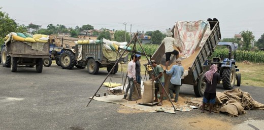 समर्थन मूल्यभन्दा बढीमा गहुँ बेच्न पाउँदा किसान खुसी    