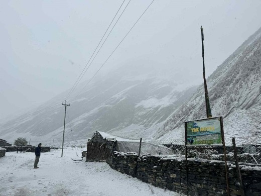 उत्तरी गोरखामा हिमपातहुँदा मनास्लु क्षेत्र भ्रमणमा गएका पर्यटक प्रभावित