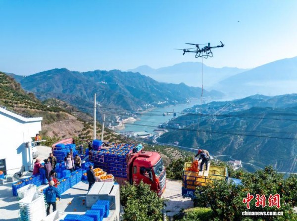 त्रिघाटी जलाशय क्षेत्रमा ड्रोनद्वारा केशर सुन्तला ढुवानी गरिँदै