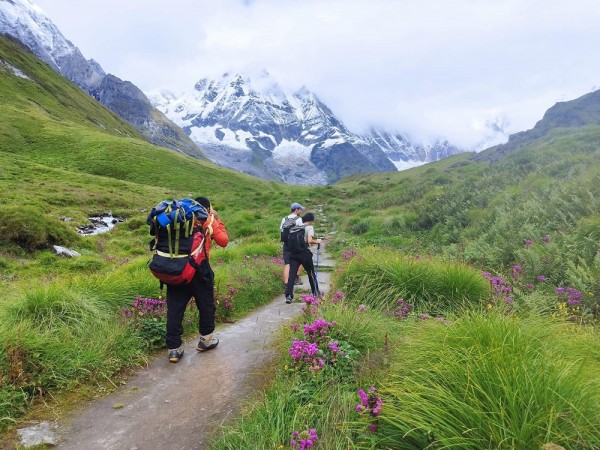 मनसुन याममा अन्नपूर्ण आधार शिविरमा पर्यटक भरिभराउ   