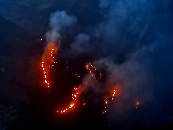 जानीजानी वनमा डढेलो लगाउने प्रवृत्ति बढ्दो   