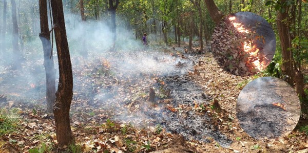 सुक्खाले बढायो डढेलो र प्रदूषण        