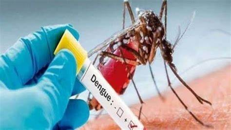 कडा डेङ्गुको क्रम बढ्दो   