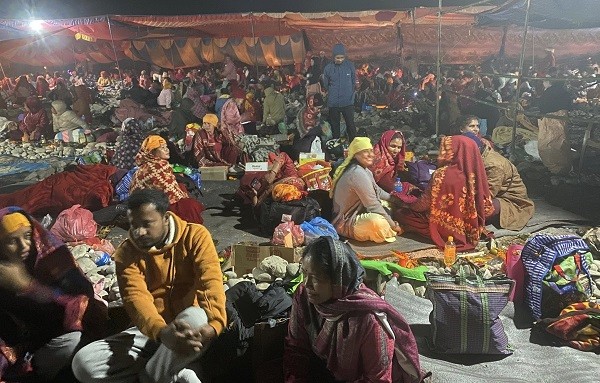 देवघाटधाममा शतबीज छर्नेको घुइँचो