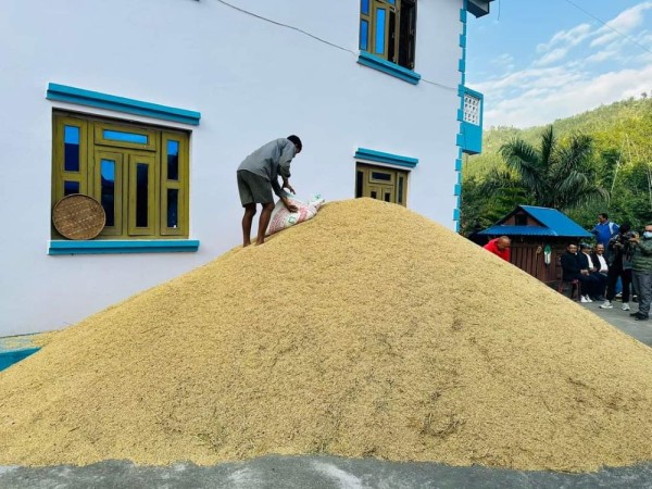 एकै जनाले फलाए चार सय मुरी धान