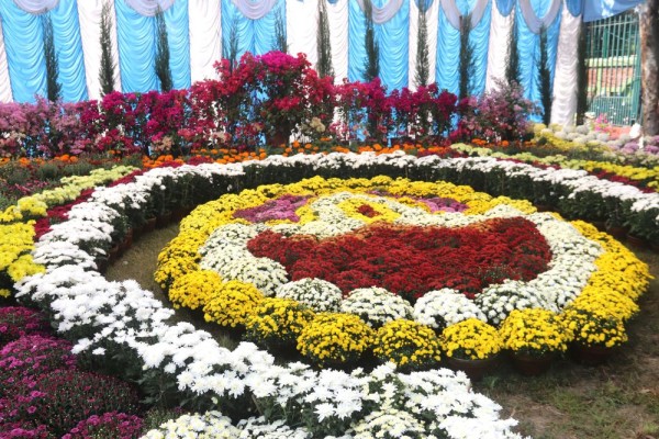 गोदावरी फूलको प्रतियोगितात्मक प्रदर्शनी     