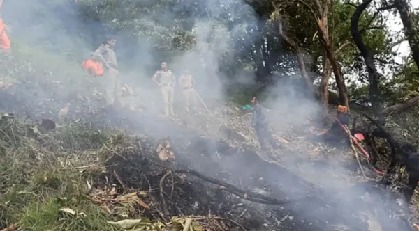 भारतमा हेलिकप्टर दुर्घटनामा बालकसहित सात जनाको मृत्यु        