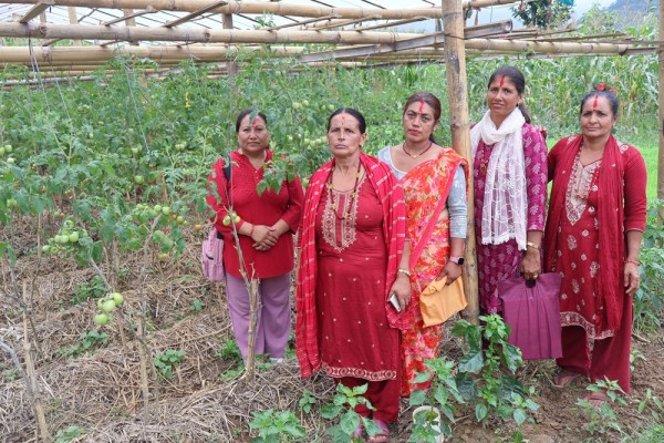 महिलाको सक्रियतामा तरकारीखेती   