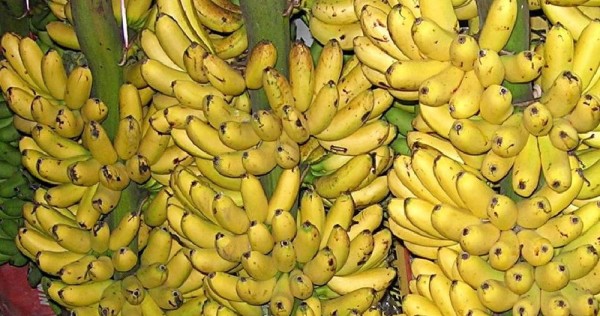 नेपाल केरामा आत्मनिर्भर बन्न लागेको संकेत, आयात नगर्न अनुरोध