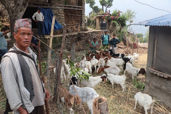 बाख्रापालनबाट स्वरोजगार