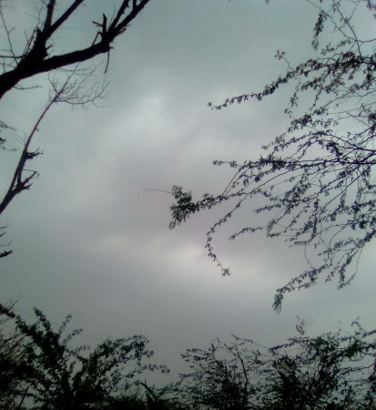 आज तराईका अधिकांश स्थानमा हुस्सु/कुहिरो   