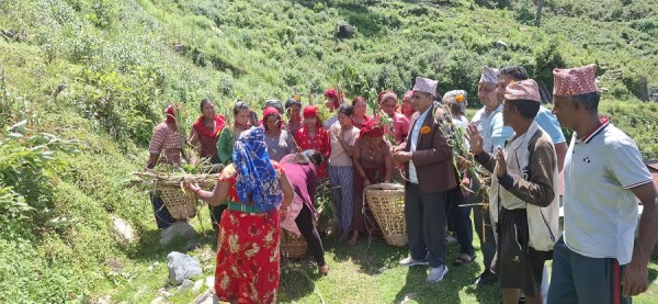 झाडी फाँडेर घाँस खेती, घरघरमा बाख्रापालन     