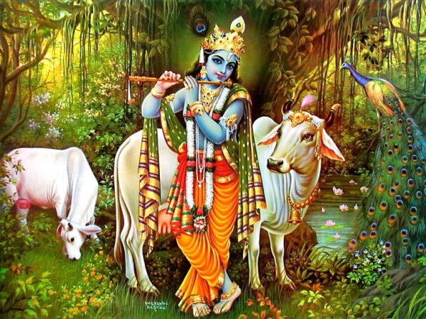 रातभर जाग्राम बसी मनाइयो श्रीकृष्णजन्माष्टमी, रथयात्राको तयारी   