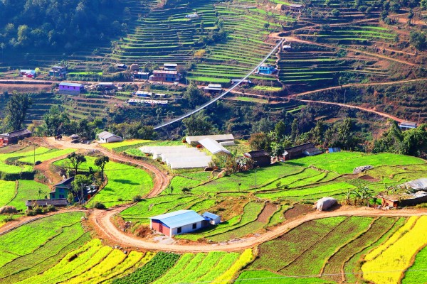 एक मुरी मकै फल्ने बारीमा ५० हजारभन्दा बढीको तरकारी उत्पादन   