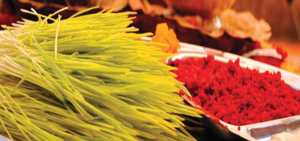 वर्षाका बाबजुद नवदुर्गाको प्रसाद स्वरुप टीका र जमरा लगाउने क्रम जारी