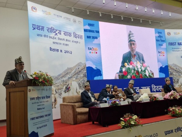 याक संरक्षणका लागि संगठित प्रयास आवश्यक        