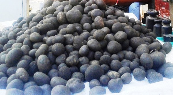 थारु समुदायको भान्सामा हराउँदै ‘फुटकी च्याउ’ को स्वाद   