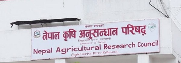 नार्कका सम्पर्कविहीन दुई कर्मचारी बर्खास्त    
