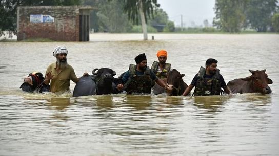 पञ्जाबमा विनाशकारी बाढी : हजारौँ गाउँ डुबानमा, जनधनको ठूलो क्षति