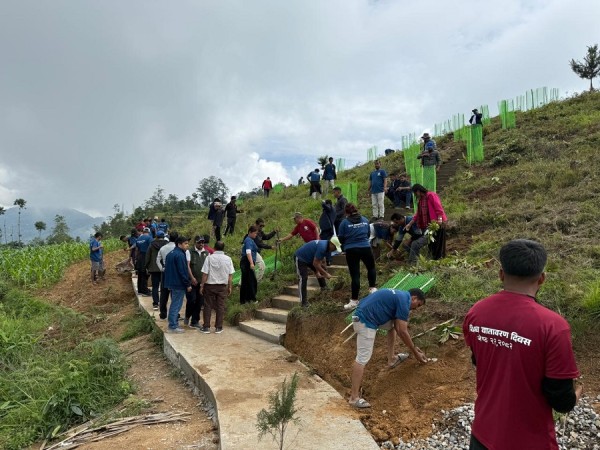किसानको आयआर्जन बढाउन बिरुवा वितरण   