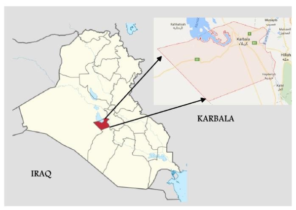 इराकमा क्लोरिन ग्यास चुहावटका कारण छ सयभन्दा बढी तीर्थयात्री अस्पताल भर्ना