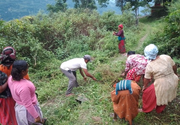 चिटिक्क पारिँदै गाउँ   