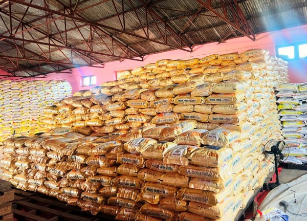 रैथाने बाली संरक्षणमा प्रदेश सरकार        